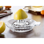 Cam Limon Sıkacağı – görsel 1