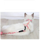 Kedi Gezdirme Göğüs Tasması – görsel 3