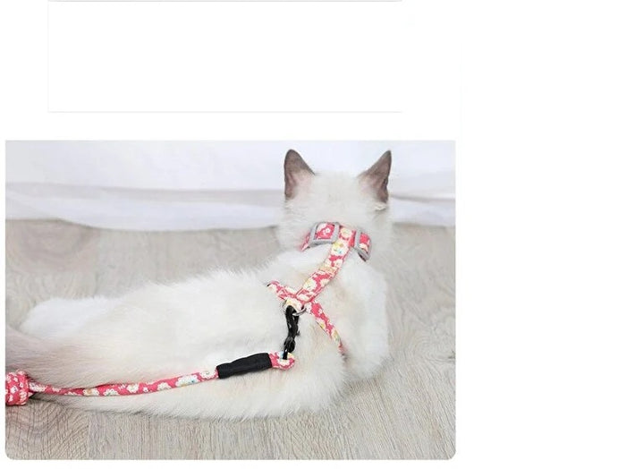 Paket İçeriği