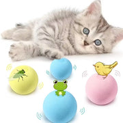 Kedi Otlu 3 Sesli İnteraktif Top Kedi Oyuncağı – görsel 1