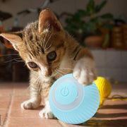 İnteraktif Kedi Köpek Şarjlı Oyun Topu – görsel 3
