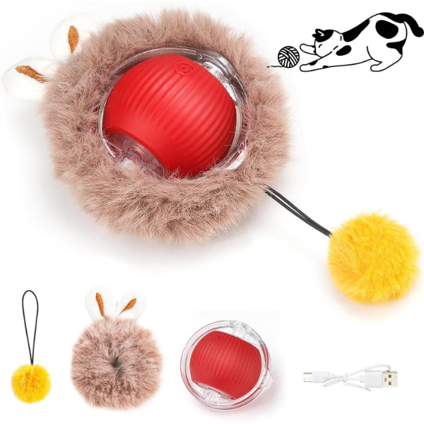 Paket İçeriği