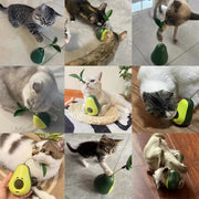 Avokado Şeklinde Kedi Naneli ve Mama Hazneli Kedi Oyuncağı – görsel 4