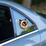 Fulcar Siamesse Araç Stickerı – görsel 1