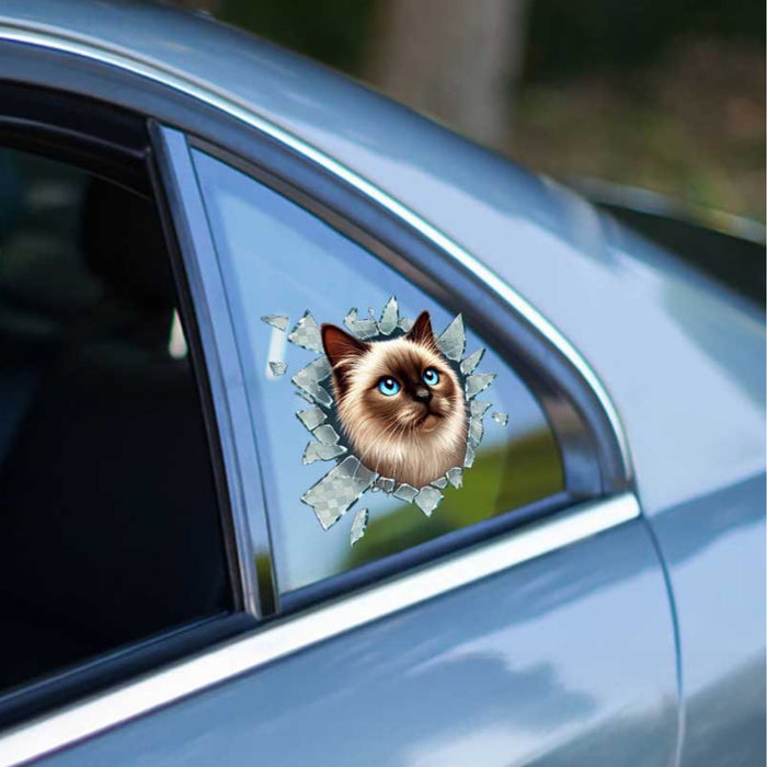 3'lü Paket – Fulcar Siamesse Araç Stickerı