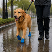 Kedi ve Köpek Pati Bandajı - Su Geçirmez - Kendinden Yapışkanlı - 6 Renk – görsel 2