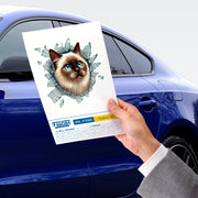 Fulcar Siamesse Araç Stickerı – görsel 3