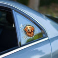 3'lü Paket – Fulcar Golden Araç Stickerı