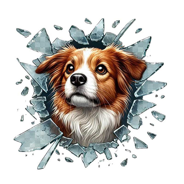 3'lü Paket – Fulcar Australian Shepherd Araç Stickerı