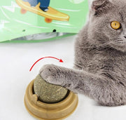 Kedi Otu Oyun Topu – görsel 3
