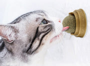Kedi Otu Oyun Topu – görsel 2