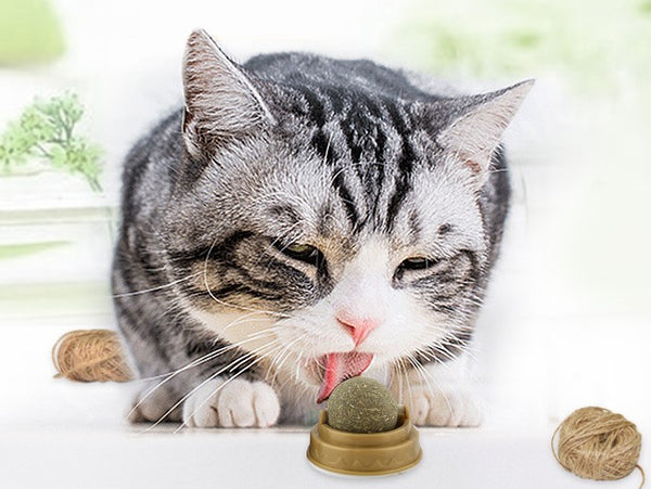 3'lü Paket – Kedi Otu Oyun Topu