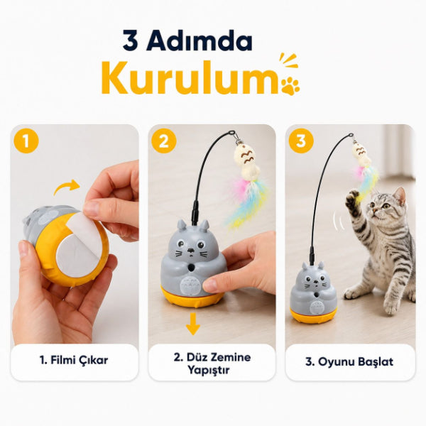 Kedinizin egzersiz yapmasını sağlarken can