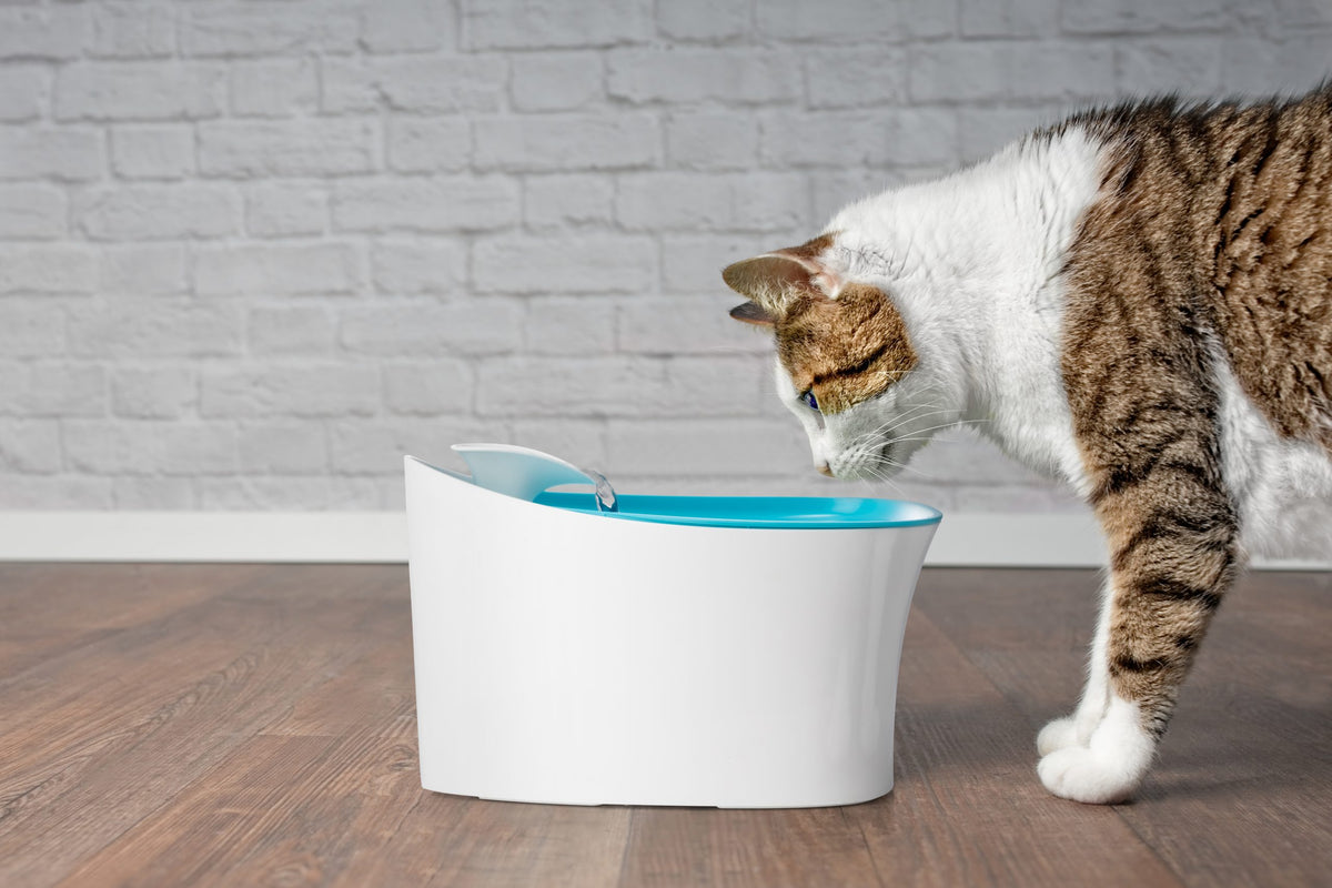 Otomatik Uyarılı Kedi Köpek Su Kabı – görsel 1
