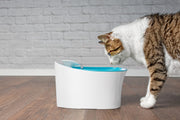 Otomatik Uyarılı Kedi Köpek Su Kabı – görsel 1