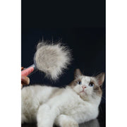 Otomatik Tuşlu Kendini Temizleyen Kedi Köpek Tarağı – görsel 3
