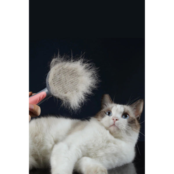 Paket İçeriği