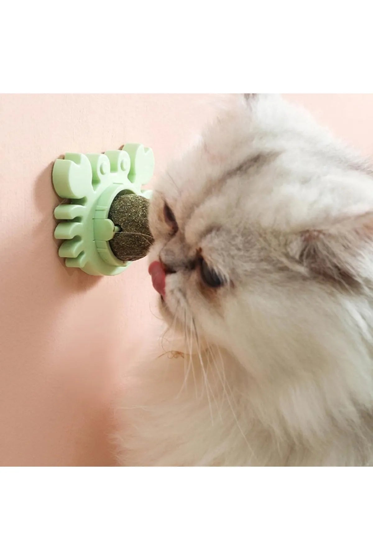 Yengeç Kedi Otu Oyun Topu – görsel 1